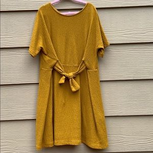 Mustard Zara dress